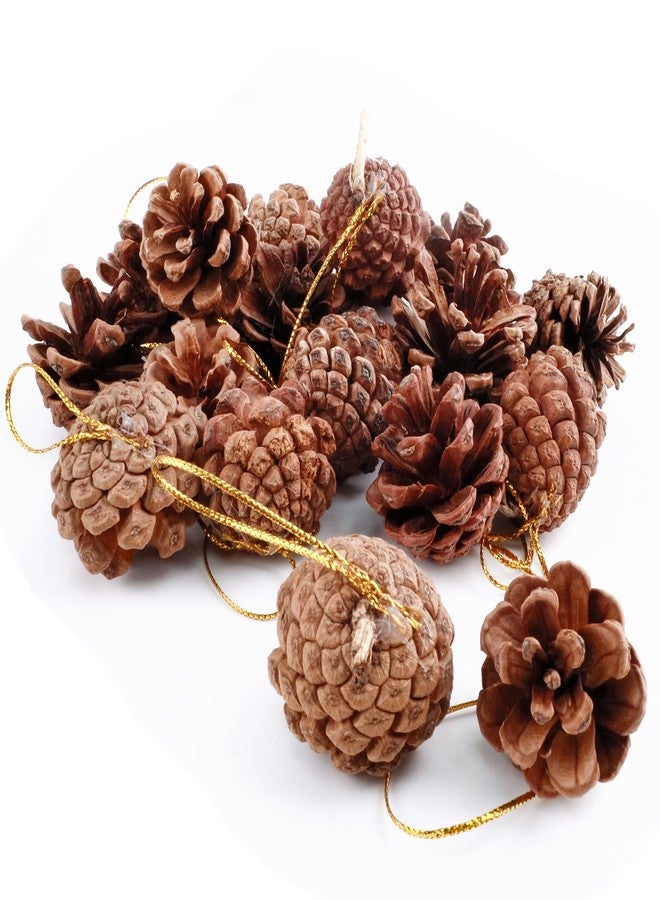 Lukinuo Hanging Natural Pine Cones 18pcs Christmas Pine Cones Crafts Ornaments Natural Rustic Pinecones Bulk Ornament for DIY Pinecone Vase Fillers Fall Winter Home Christmas Tree Decor - Image 1